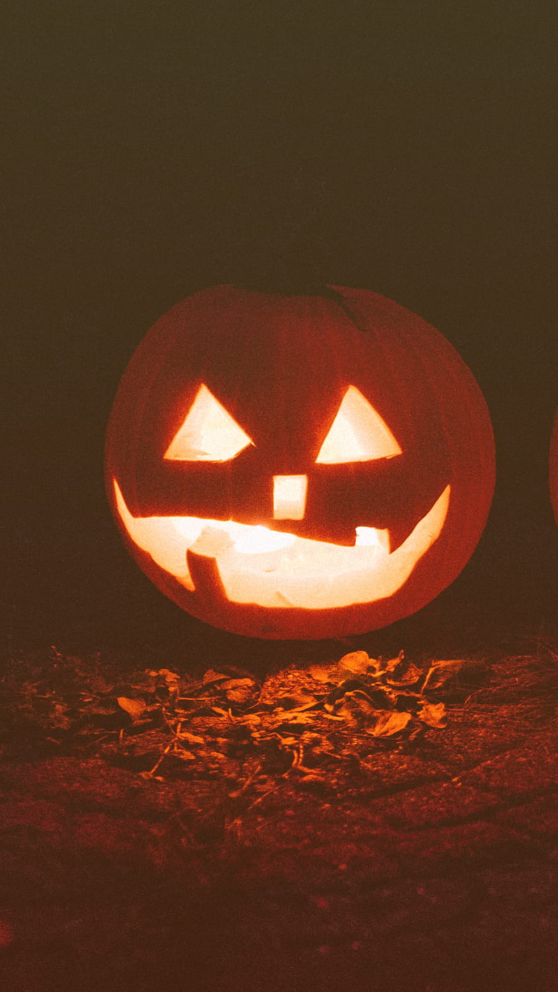 Jackolantern Smile, pumpkin, fall, gourds, halloween, autumn, pumps18, HD phone wallpaper