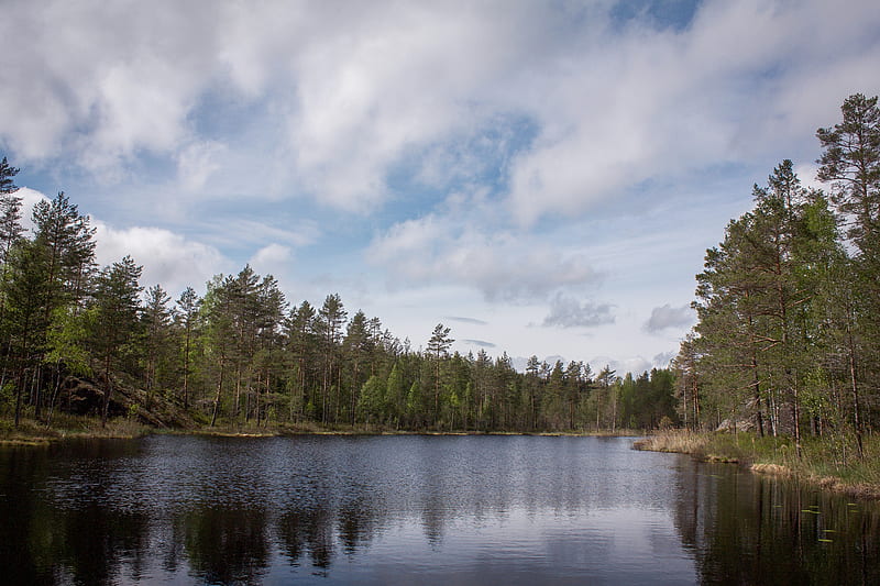 Body of water near trees, HD wallpaper | Peakpx