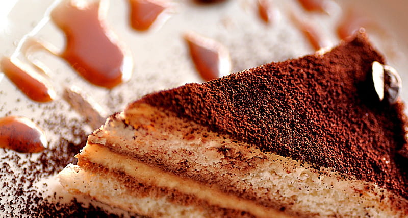 Tiramisu, cake, brown, cake from coffee, sweet, HD wallpaper