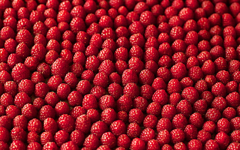 raspberry texture macro, berries, food textures, fruits textures, raspberry, fresh fruits, berries textures, HD wallpaper