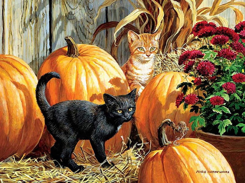 Persis Clayton Weirs, art, halloween, pumpkin, cat, kitten, HD wallpaper