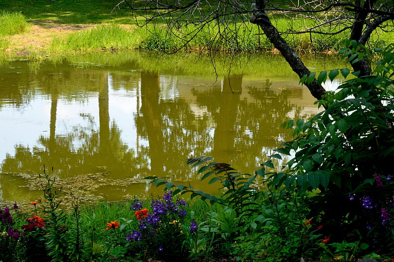 Scenic Little Pond, Scenic pond, no trespassing, relaxing pond, creek, lake, peaceful pond, serene, river, little pond, HD wallpaper