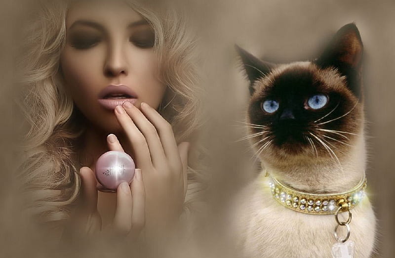 Beauty and Siamese Cat, lovely, bonito, cat, woman, elegant, fantasy ...