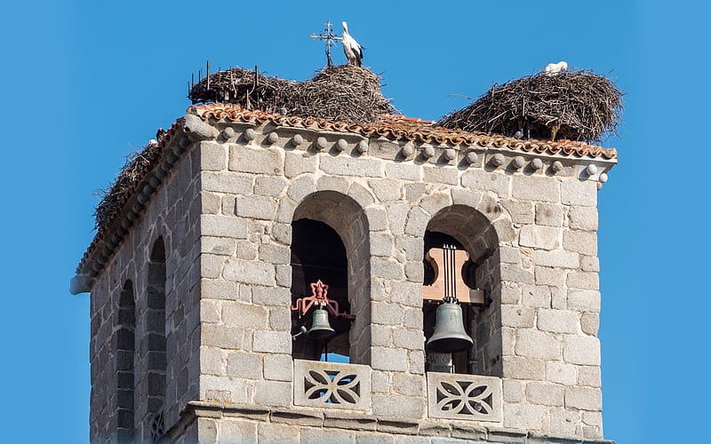 Belltower with Nests, storks, nests, tower, bells, HD wallpaper