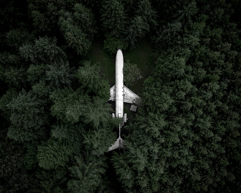 white airplane in the middle of the forest during day, HD wallpaper