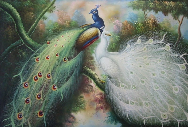 peacock oil painting, oil painting, bird, peacocks, color, white, teal, HD wallpaper