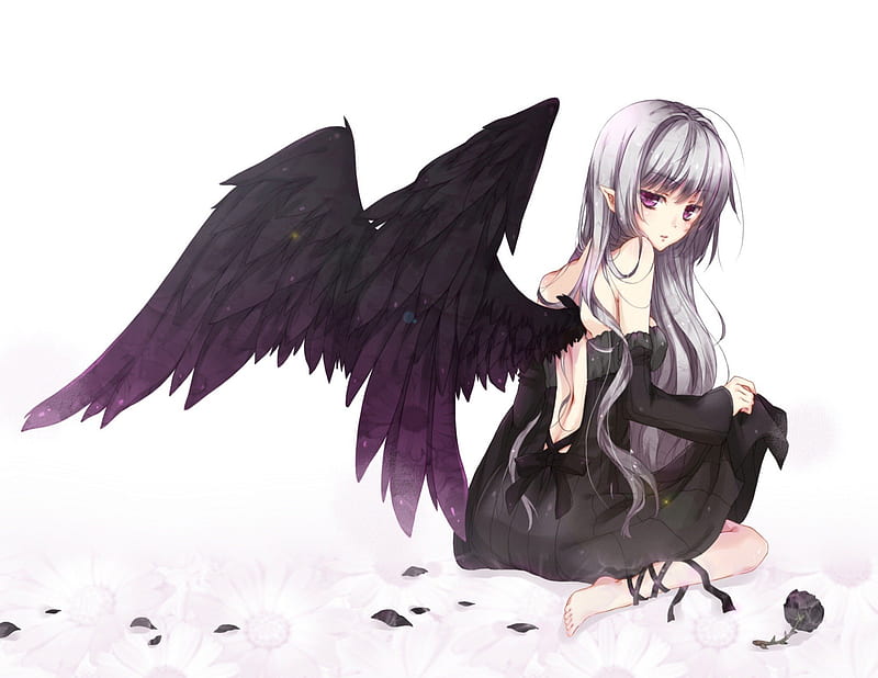 black angels anime