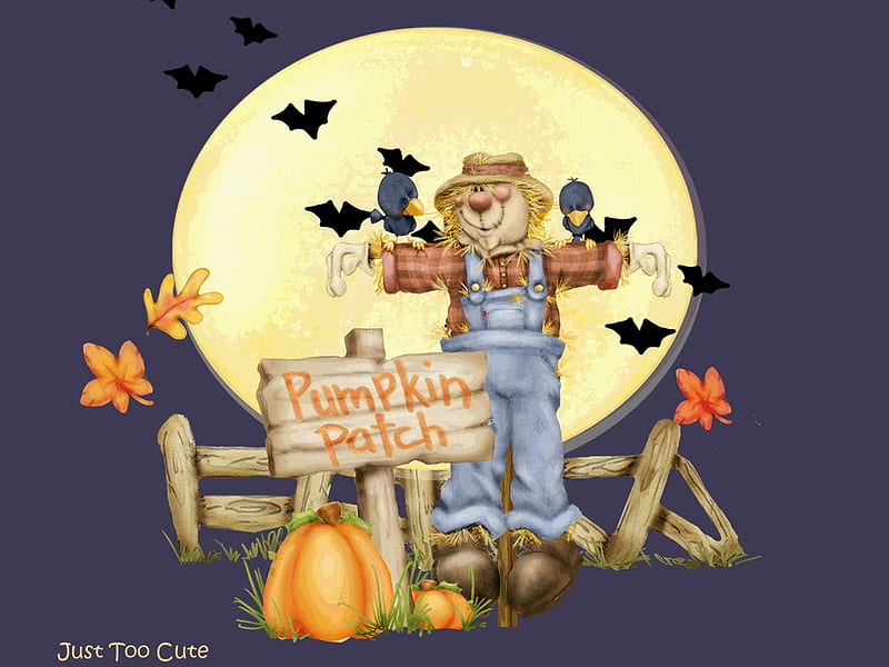THE PUMPKIN PATCH, cute, scarecrow, bats, pumpkins, HD wallpaper
