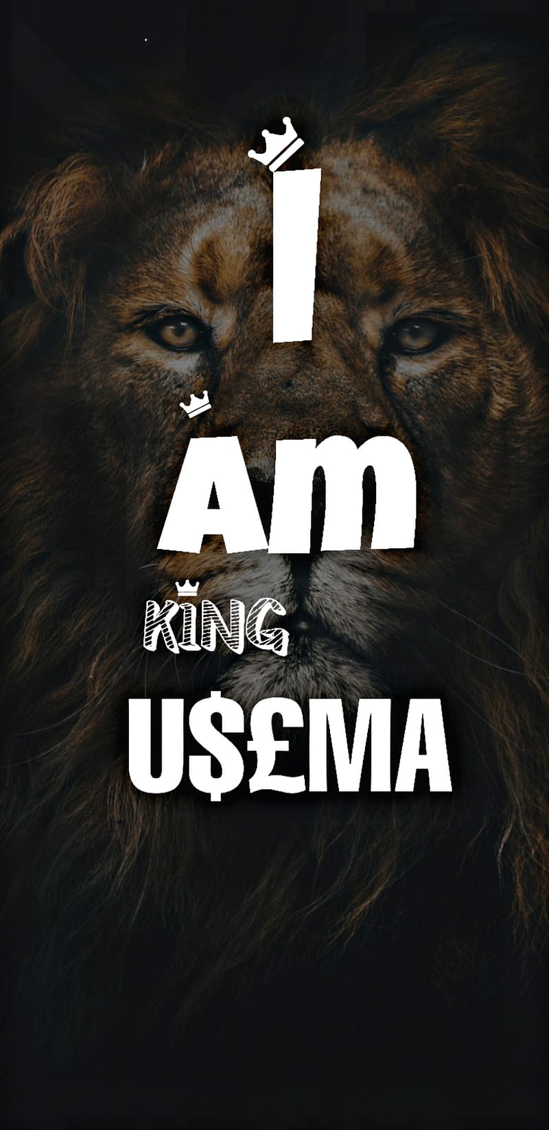 I m king Usama, electricity, king, lion, lions, marshmellow, neon, space, star, usama, wolf, HD phone wallpaper