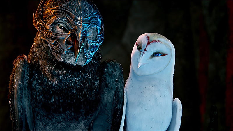 Legend of the Guardians-The Owls of GaHoole movie 19, HD wallpaper