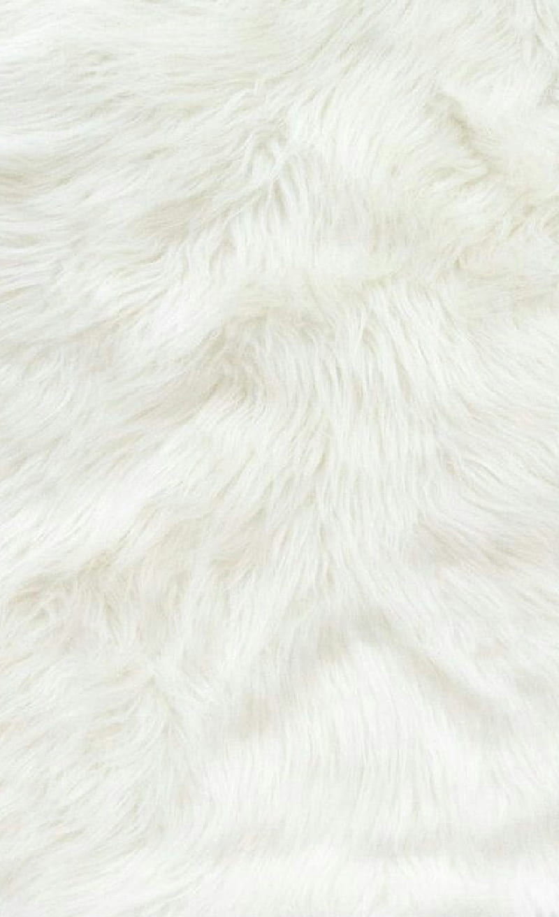 white fur, white, HD phone wallpaper