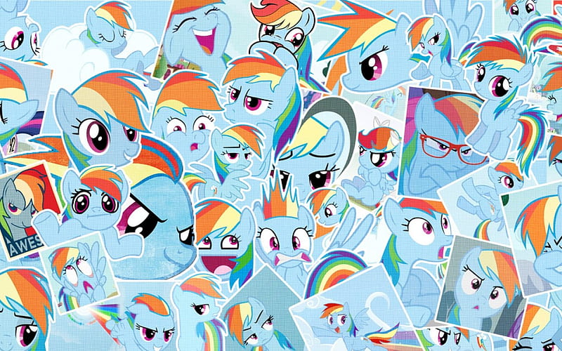 Rainbow Dash Fan pics, cute, cool, mlp, rainbow dash, HD wallpaper