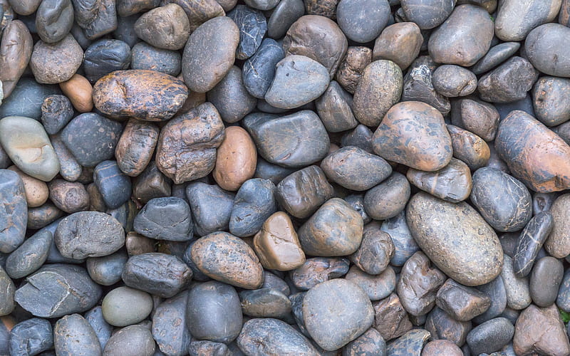 large gray stones, pebble, coast, stone texture, HD wallpaper