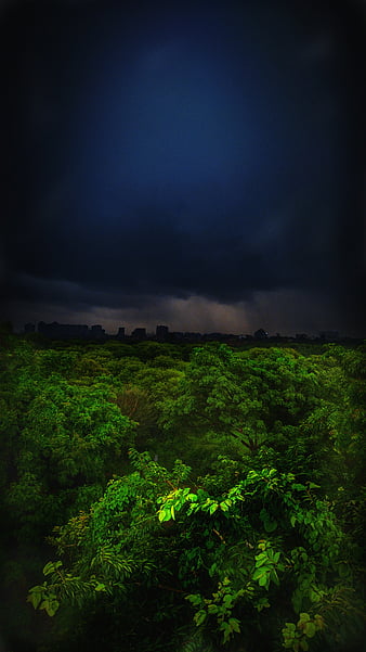 500 Monsoon Pictures HD  Download Free Images on Unsplash