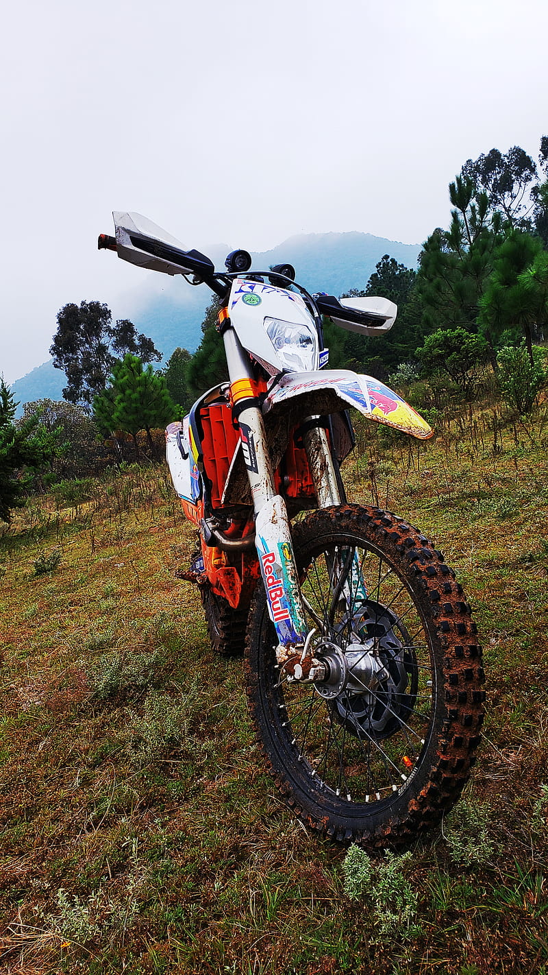 KTM 1, bike, cross, dirt, enduro, forest, motorcycle, mountain, nature, redbull, sky, HD phone wallpaper