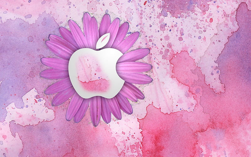 ✿ Apple ✿, apple, flower, wall, pink, HD wallpaper | Peakpx