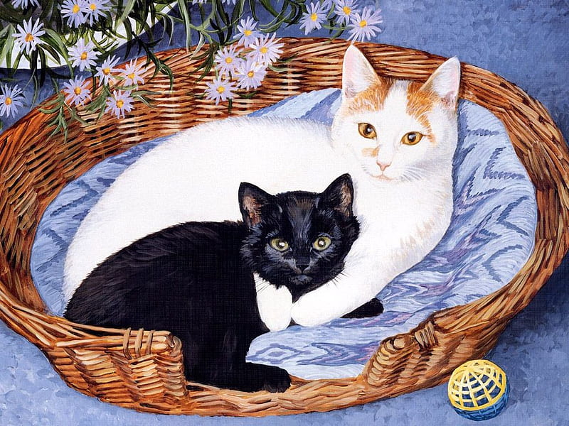 Tender embrace, basket, black, white, cat, embrace, kitten, HD wallpaper