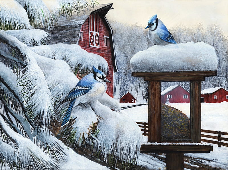 Blue Jays, feeder, snow, winter, painting, birds, artwork, HD wallpaper