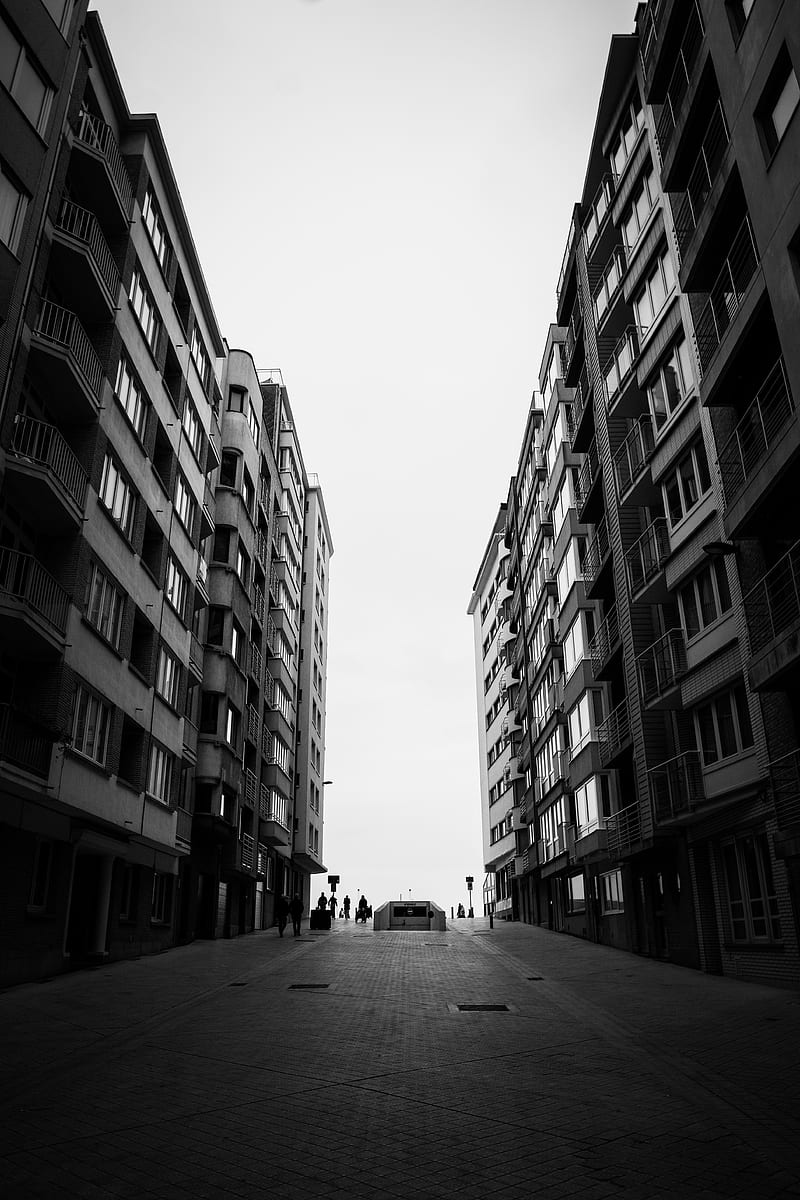 grayscale of people walking on street between high rise buildings, HD phone wallpaper