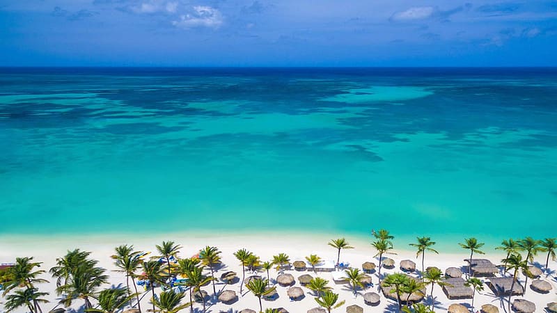 Palm Eagle Beach Resort Aruba South America, HD wallpaper