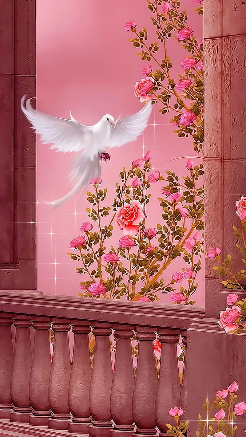 PINK GARDEN, windows, trees, nice, roses, dove, white, bonito, HD phone wallpaper