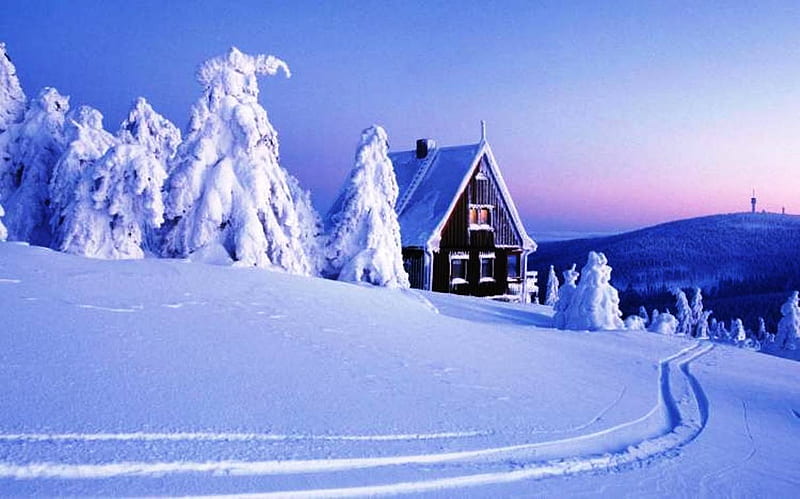 Winter Escape, chalet, snow, cosy, mountains, skiing, trees, winter, HD wallpaper