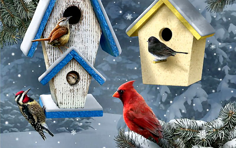 Winter Songbirds FC, bonito, illustration, artwork, animal, painting, wide screen, art, songbirds, winter, wren, bird, snow, avian, wildlife, nature, junco, woodpecker, cardinal, HD wallpaper