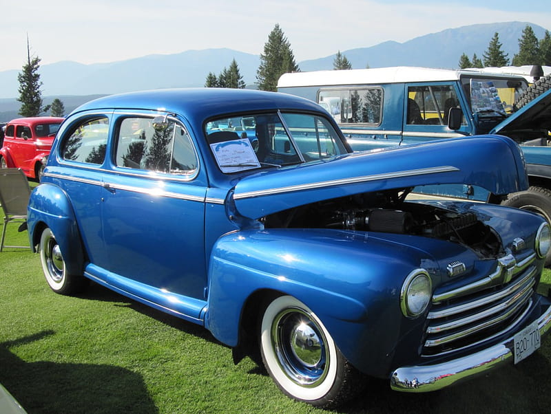 1946 Ford Tudor model, Ford, grass, black, trees, nickel, green, mountains, tires, graphy, white, blue navy, HD wallpaper