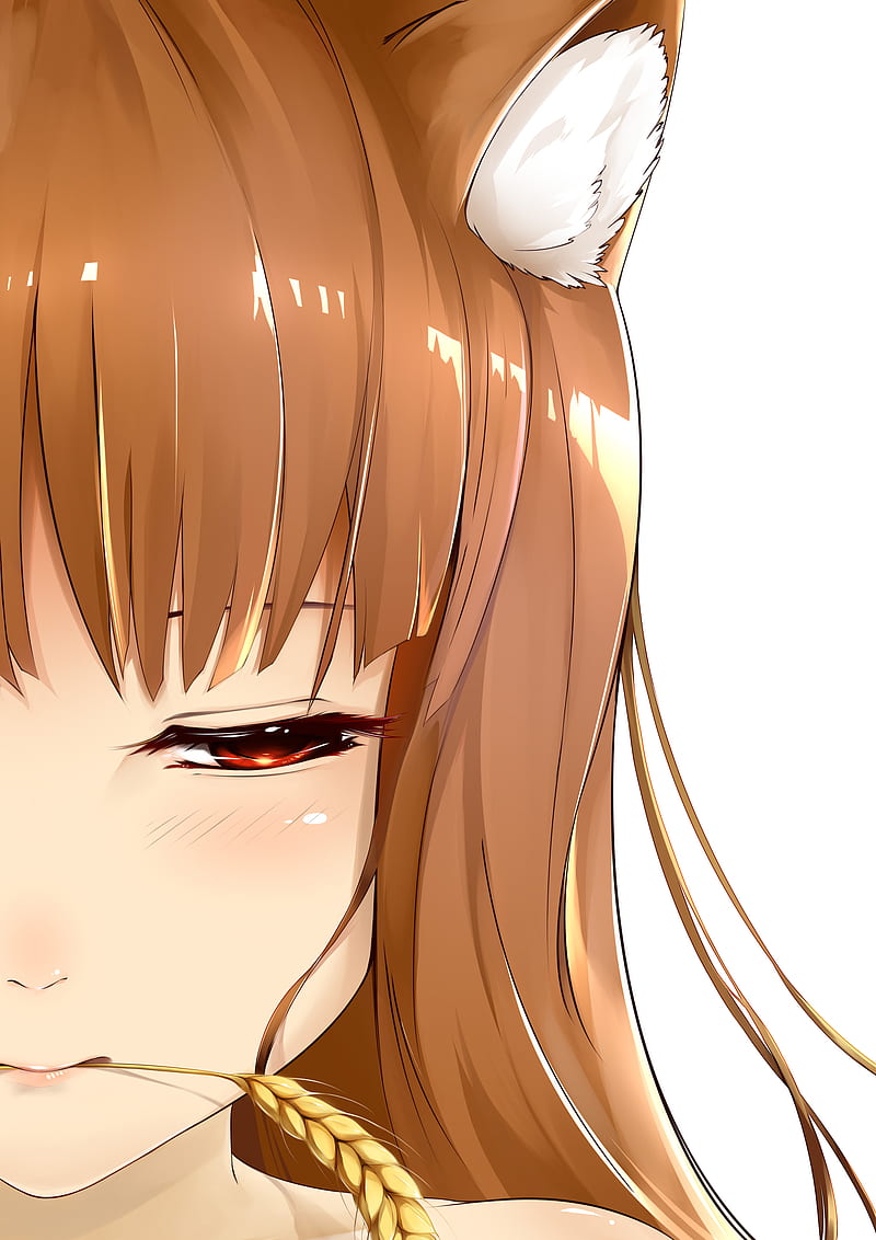 Holo (Spice and Wolf), red eyes, simple background, redhead, Spice and Wolf, looking away, wolf ears, Okamimimi, HD phone wallpaper