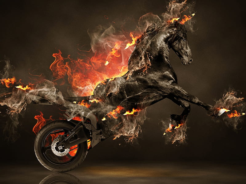black horse, fire, motocycle, wheel, wild, HD wallpaper