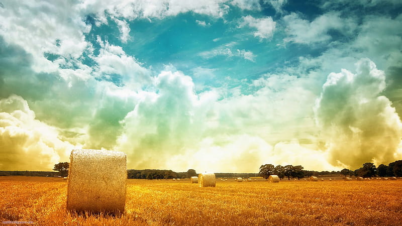 Haystacks on Field, blue skies, haystack, clouds, sky, field, HD wallpaper