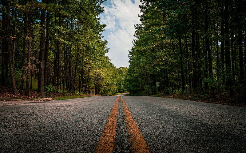 road in the USA, asphalt road, highway, USA, road in the forest, green trees, HD wallpaper