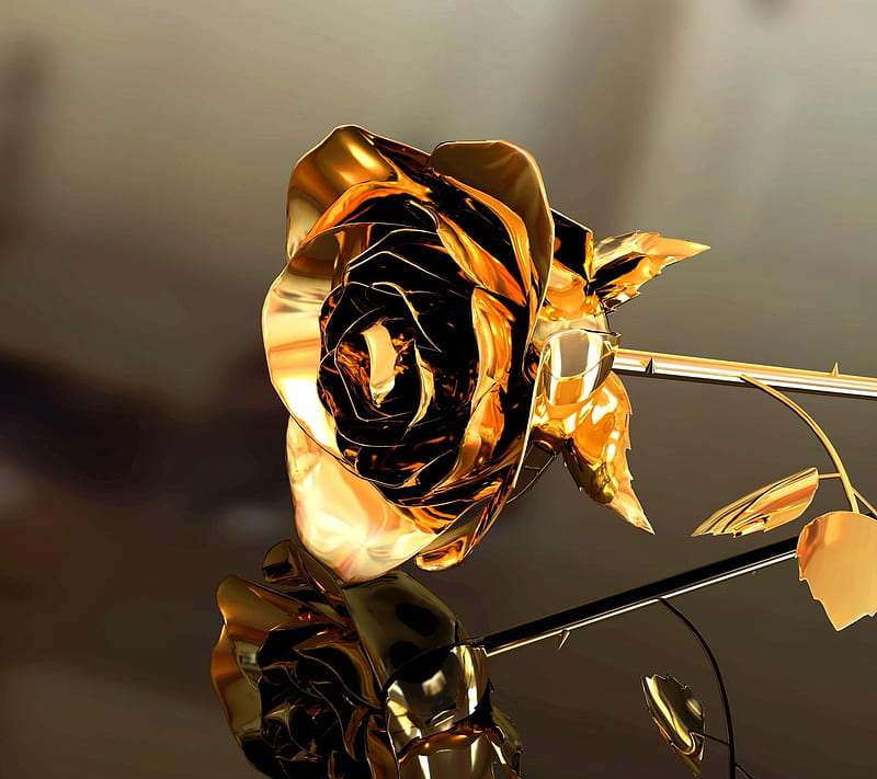 Gold Rose, jm, pf, HD wallpaper