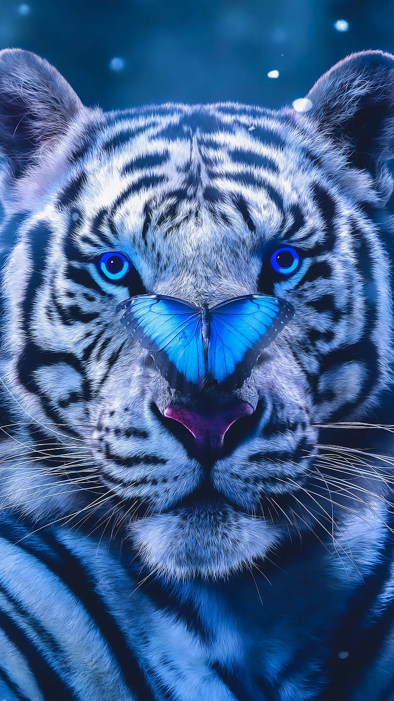 Who is this, blue butterfly, blue, animal, white tiger, tiger, eyes, wild, HD phone wallpaper