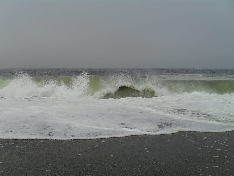 Bodega Bay, beach, waves, ocean, HD wallpaper