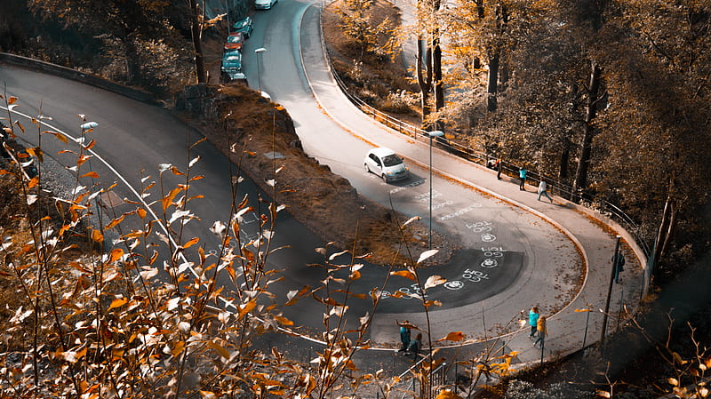 Autumn Road Orange Leaves Fallen Cars Peoples Walking , autumn, artist, artwork, digital-art, road, HD wallpaper