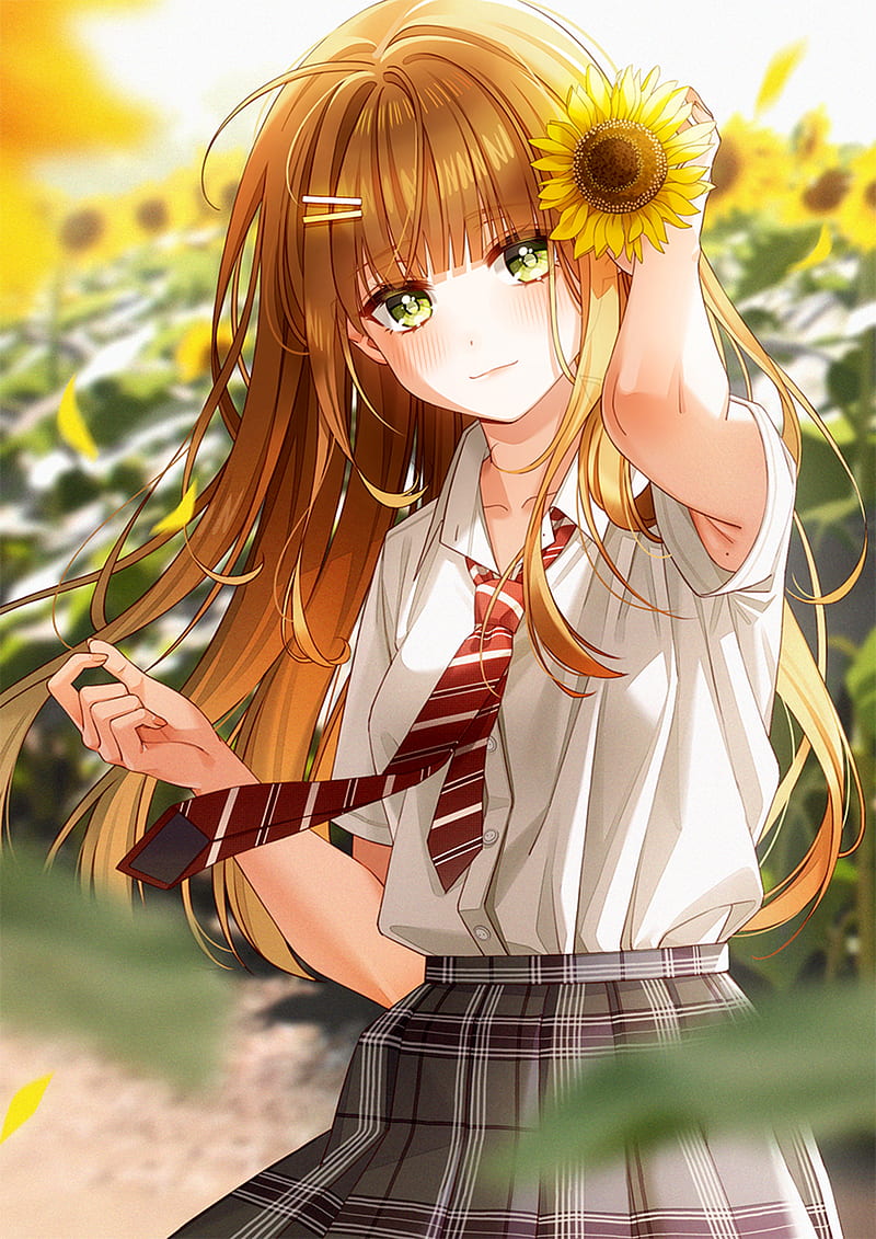 Girl, sunflowers, flowers, anime, HD phone wallpaper | Peakpx