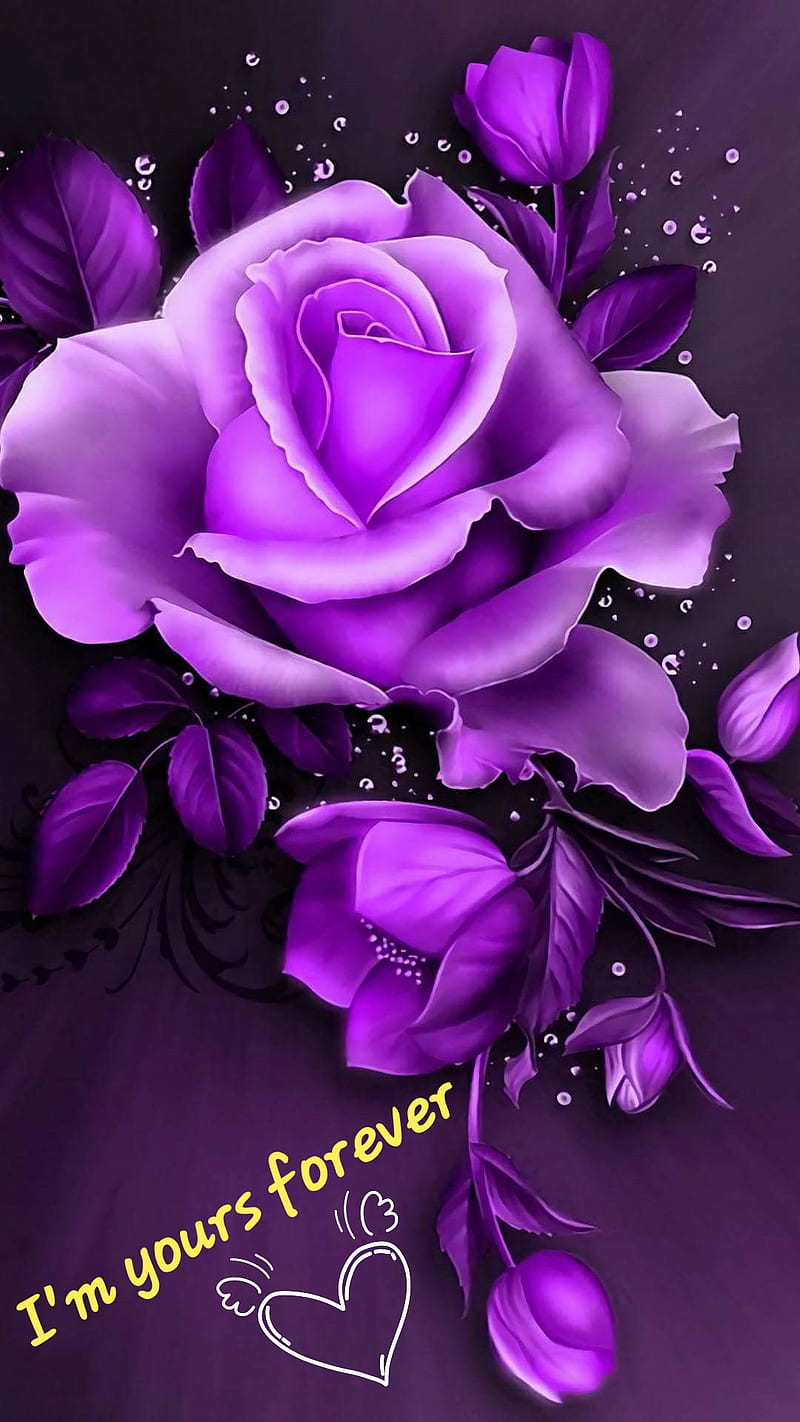 Yours forever, cellphone, flowers, lezgrl79, purple, roses, HD phone wallpaper