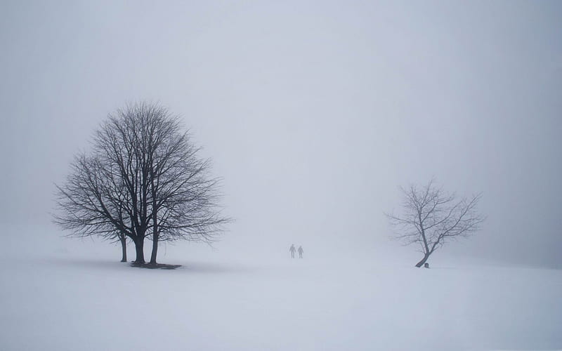 misty scene from winterberg germany-winter snow theme, HD wallpaper