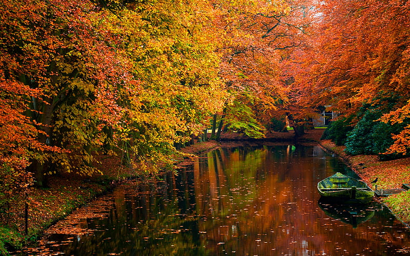 Autumn, autum, stream, shore, falling, cano, magic, foliage, still water, nice, boat, boats, splendor, riwer, reflection, lovely, park, trees, water, serenity, landscape, fall, red, colorful, canal, bonito, graphy, leaves, color, river, tranquility, forest, amazing, calmness, view, colors, lake, tree, bird, pretrty, autumn colors, peaceful, nature, lanscape, HD wallpaper