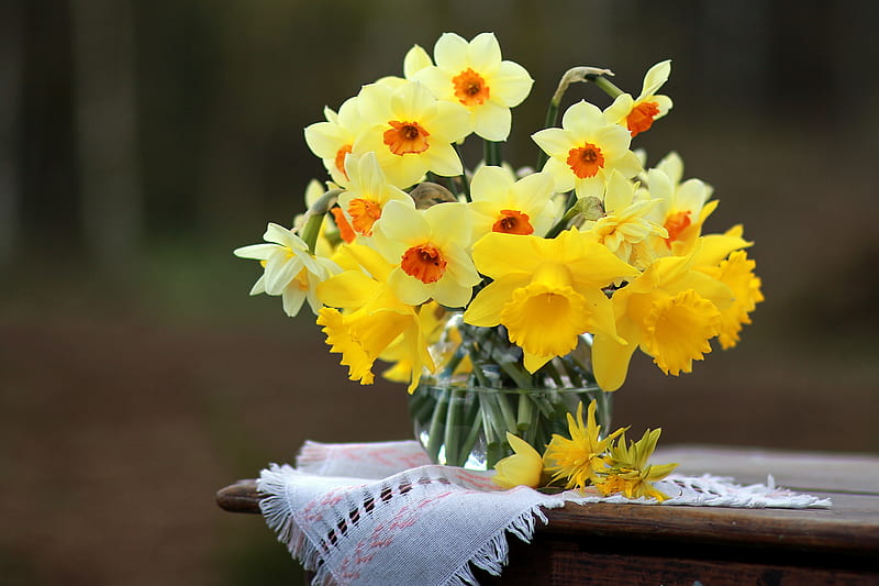 Man Made, Flower, Daffodil, Napkin, Table, Vase, HD wallpaper