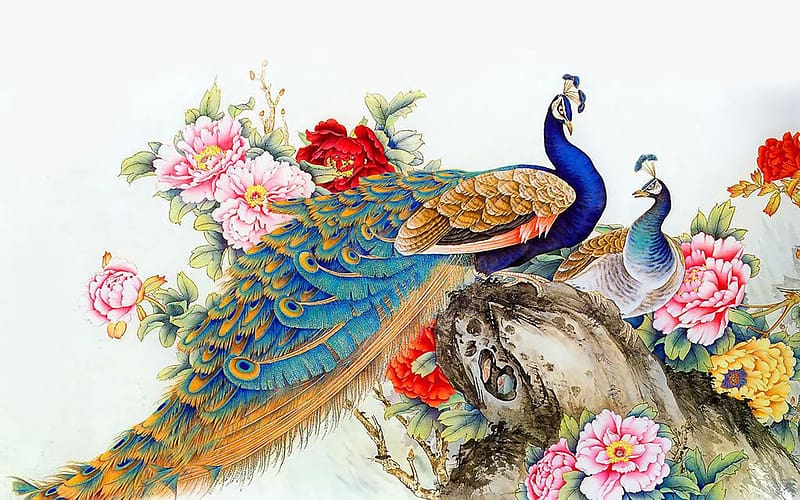 Birds, Bird, Animal, Peacock, Painting, HD wallpaper | Peakpx