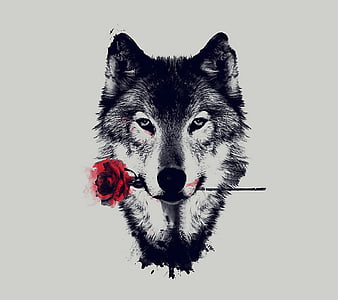 Rose Wolf, flower, paint, rose, wolf, wolves, HD wallpaper