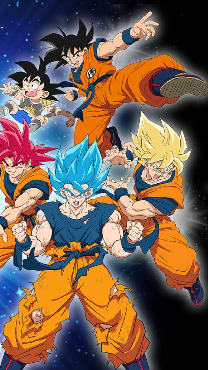Goku y Vegeta - Bardock Super Saiyajin 3
