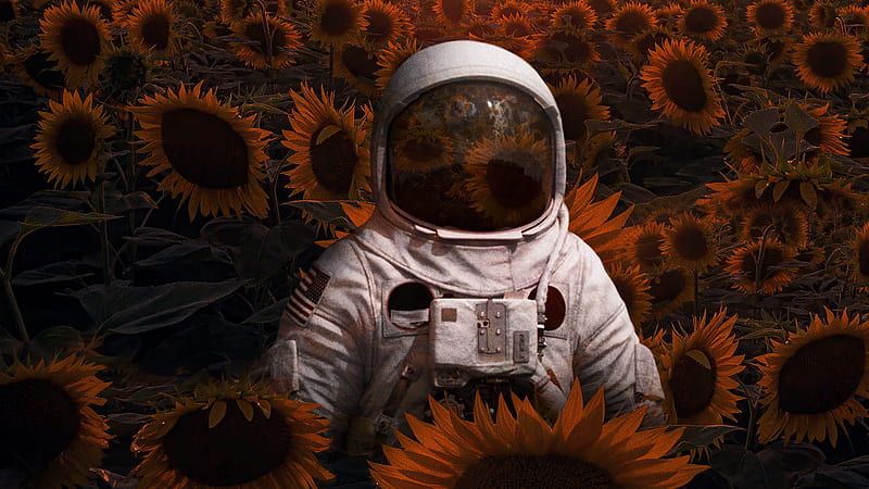 Astronaut In Sunflowers Field , astronaut, field, artist, artwork, digital-art, HD wallpaper