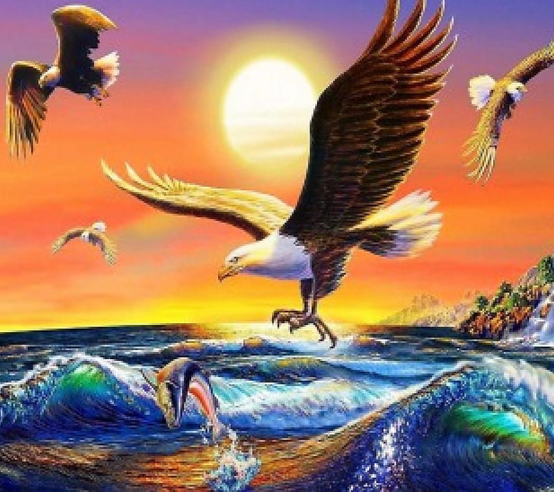 Sea eagle, sunset, fish, sea, Eagle, HD wallpaper