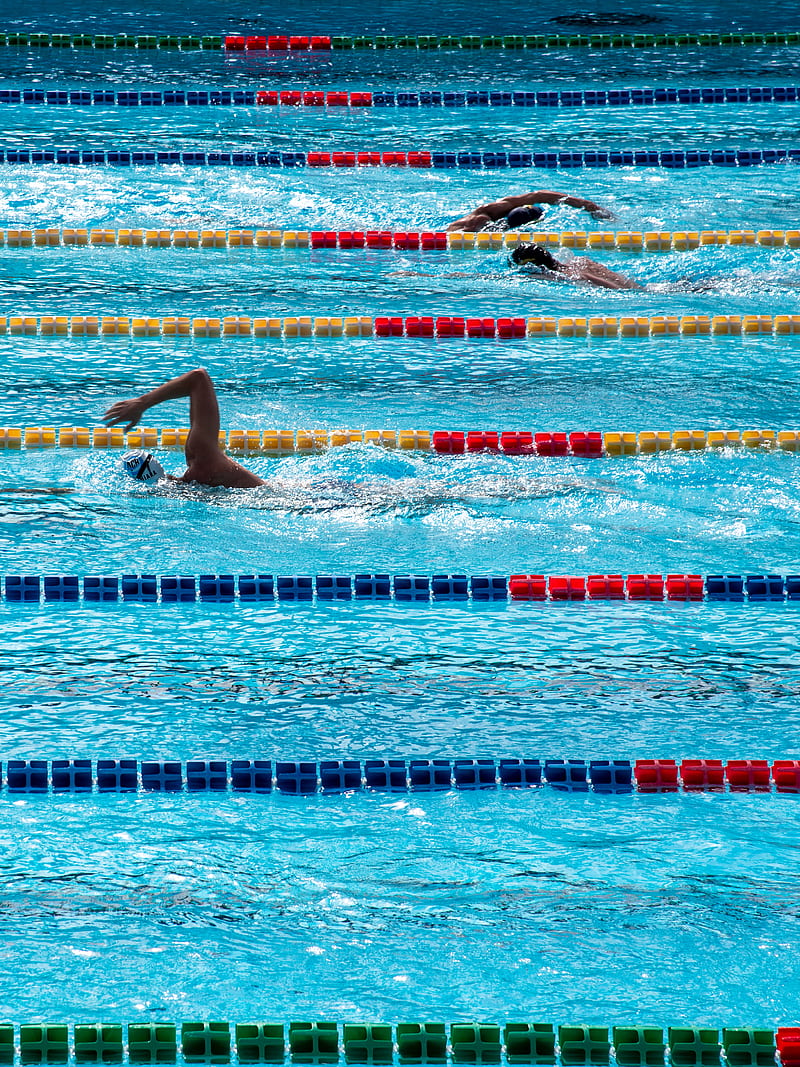 three person swimming on pool, HD phone wallpaper