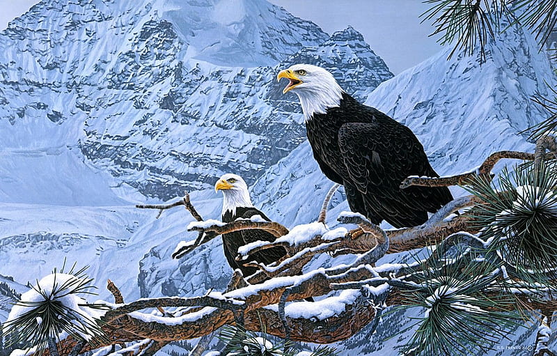 winter, snow, mountains, birds, branches, nature, eagle, figure, , art, pair, wolves, painting, needles, the eagles, two for , section живопись, HD wallpaper