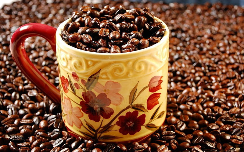 cup of coffee beans, flower, cup, coffee, beans, HD wallpaper