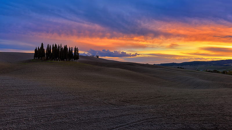 graphy, Tuscany, Cypress, Landscape, Sunset, HD wallpaper